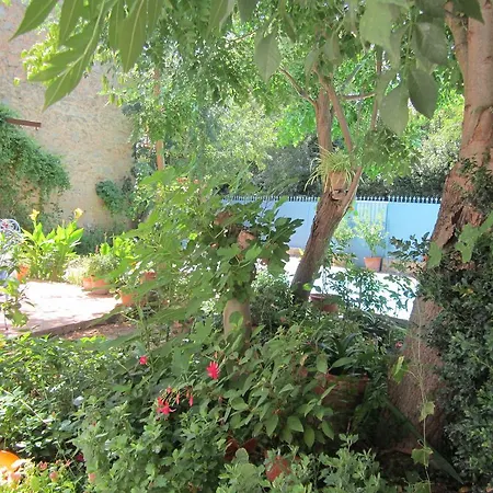 Bed & Breakfast Domaine Aime Olonzac