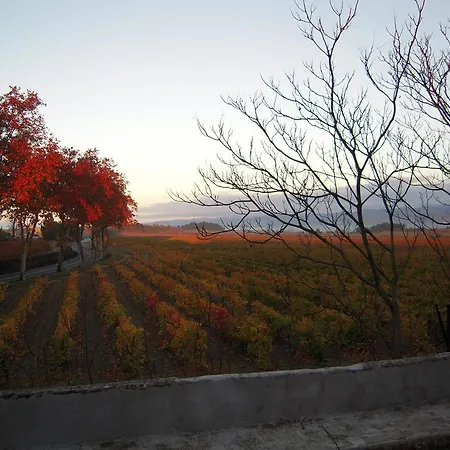 Domaine Aime Olonzac